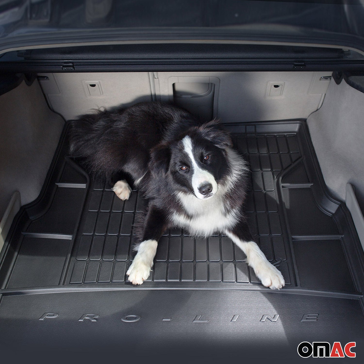 2019-2026 BMW X5 G05 Premium Floor Mats & Cargo Liner Full Set All Weather Heavy Duty Black